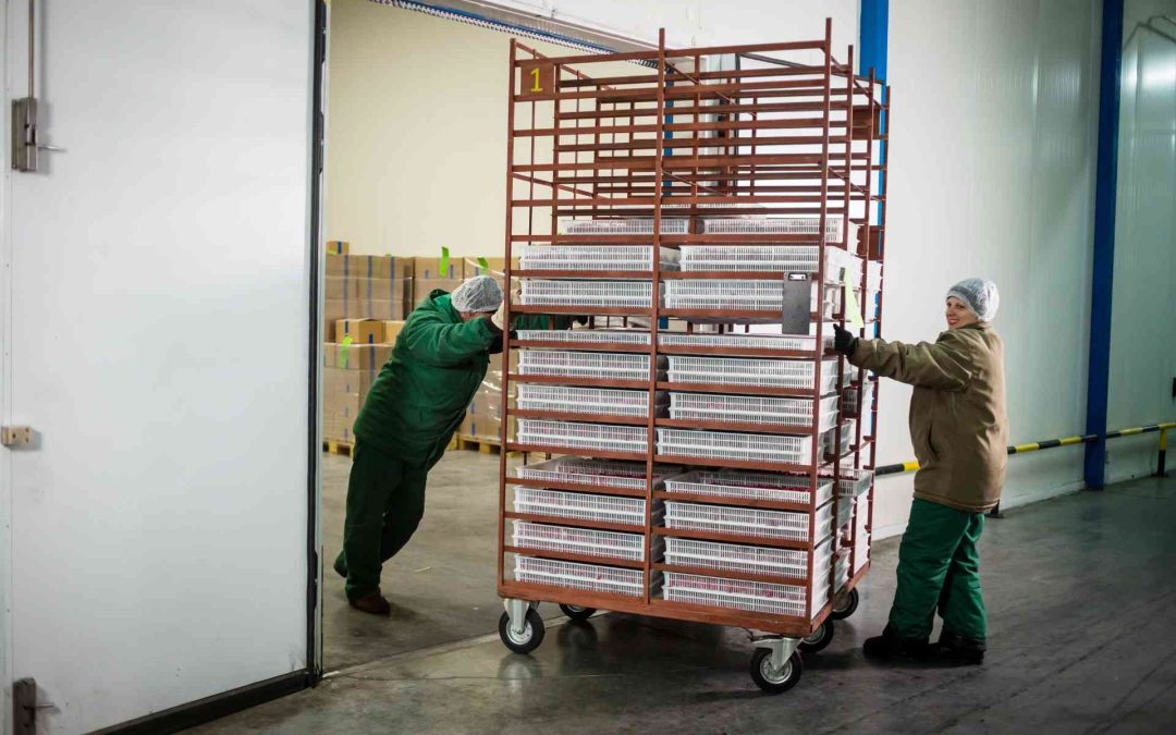 Almacenaje con temperatura controlada